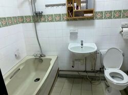Blk 504 Elias Parks Estate (Pasir Ris), HDB Executive #580300981